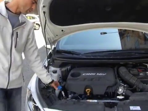 Examen partes del capó de un coche