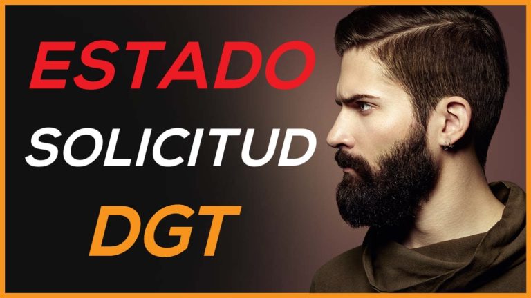 Consultar el estado de mi carnet de conducir