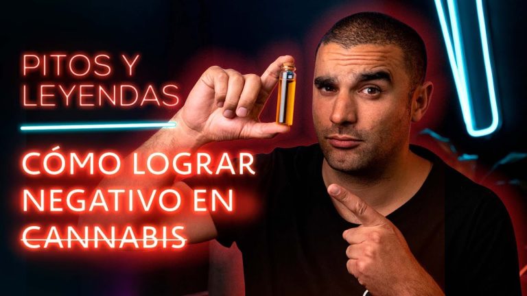 Producto para no dar positivo en thc