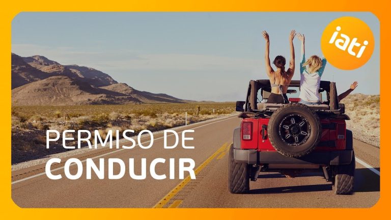 Se puede volar con el carnet de conducir