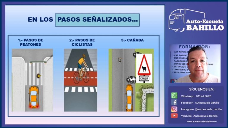 Los animales cuando tienen preferencia de paso
