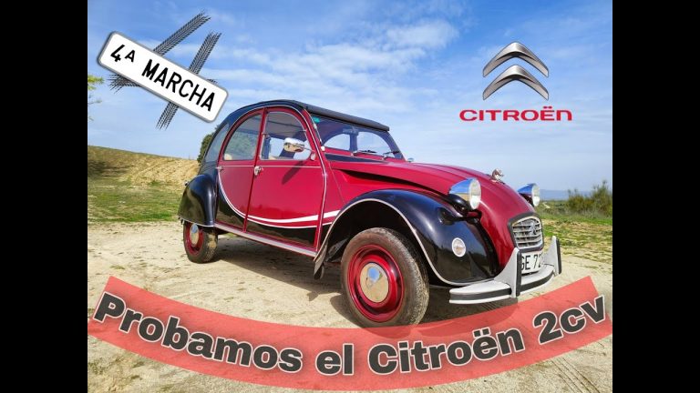¡Vive la Experiencia de un Viaje en Coche de Caballos con Dos Asientos!